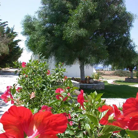 Apartahotel Scala