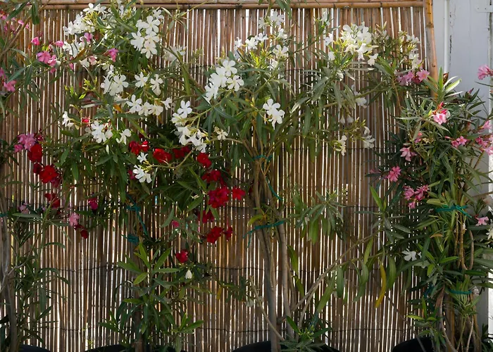 Scala Appart hôtel 4*